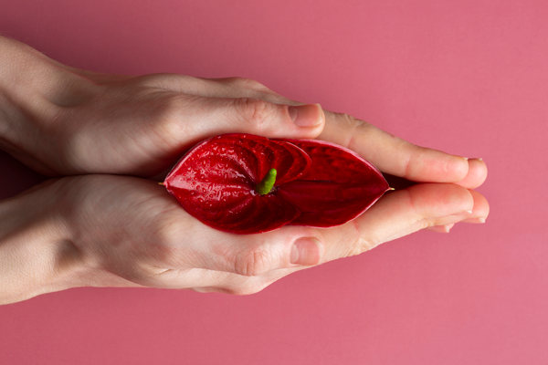 woman holding flower in her hand